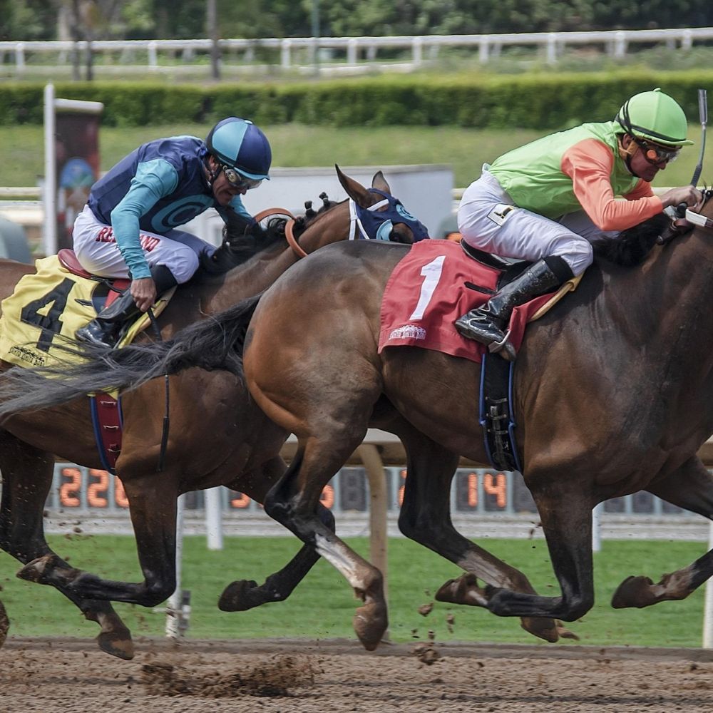 iGaming & Sports Betting