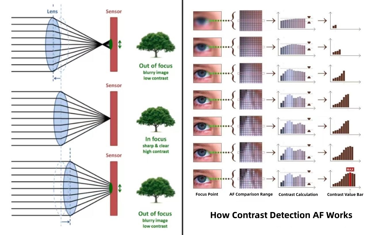 What Is Contrast Detection Autofocus CDAF