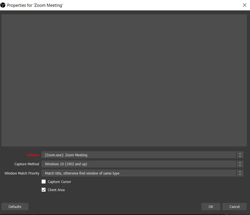 Use Window Capture