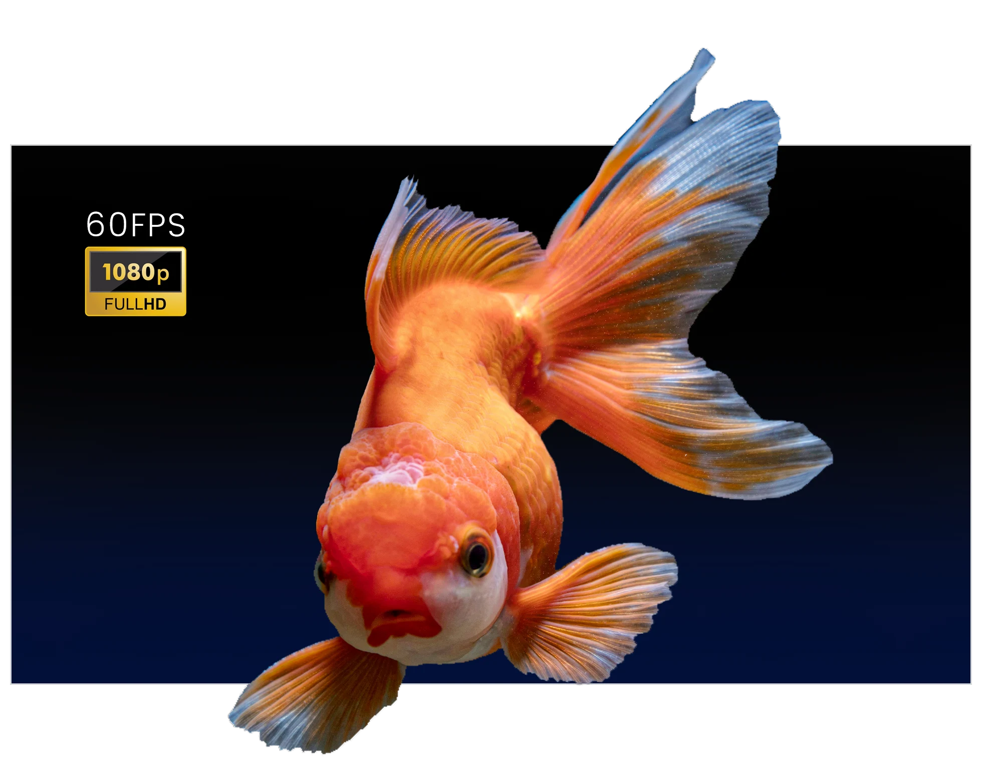 1080p60 FHD Output