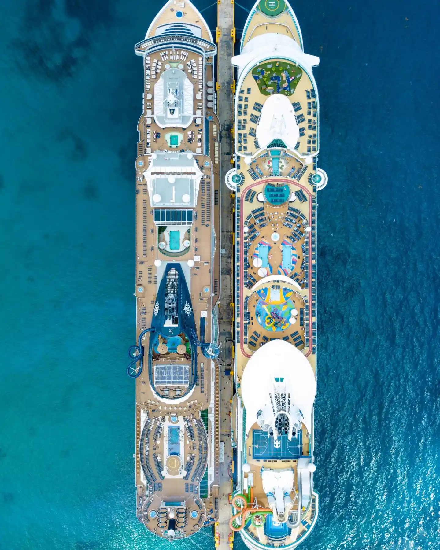 Cruise Ships